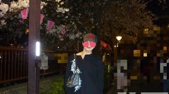 桜を見に行ったよ〜